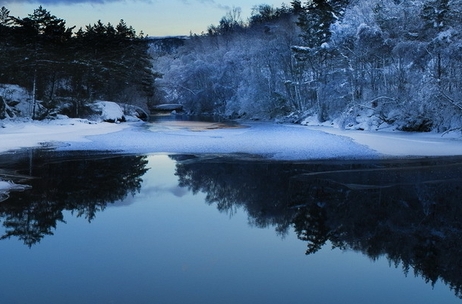 粉象生活如何实现分享