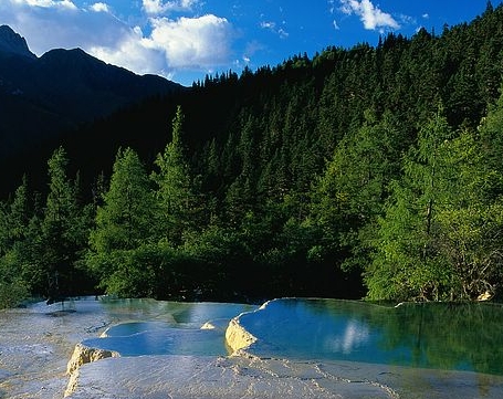 粉象生活怎么分享优惠券