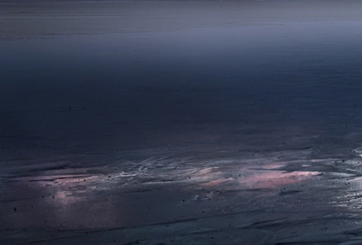 红的像火白的像雪粉的像霞黄的像