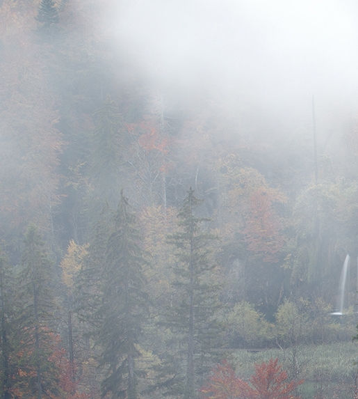 粉象生活怎么赚钱