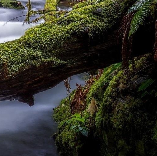 粉象生活怎么分享给好友