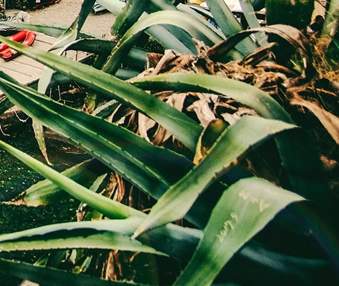 淘宝粉象生活技巧