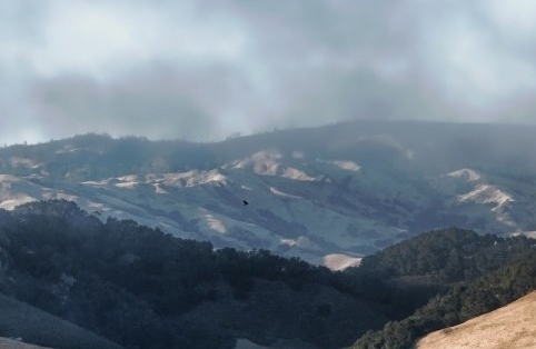 广州拘留所里的生活图片