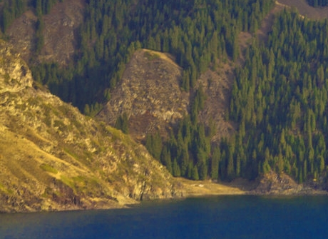 粉象生活邀请码