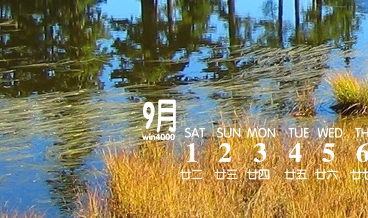 粉象生活中的爆款粉象生活