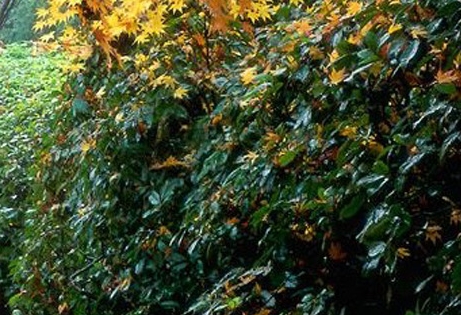 粉象生活怎么解除绑定的邀请码