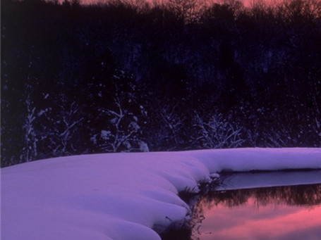 粉象生活不买东西能赚钱吗