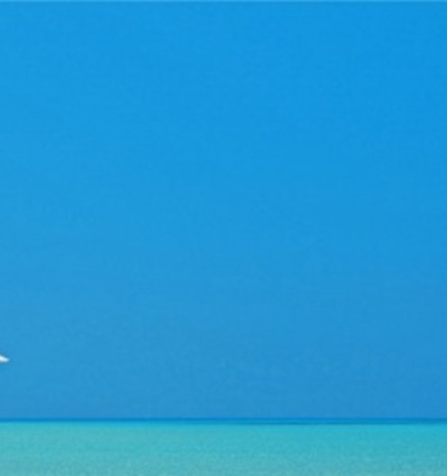 粉象生活下载app