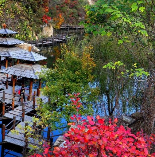 广东惠州粉象生活