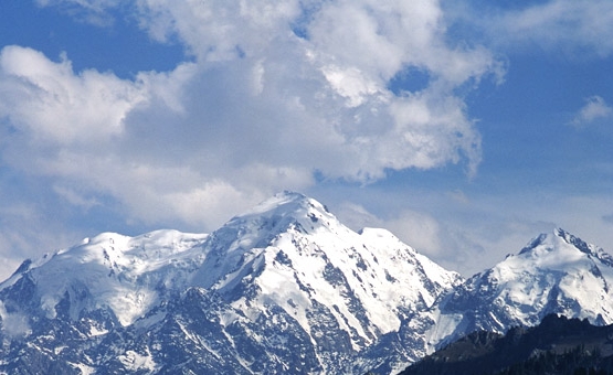 粉象生活能赚到钱吗