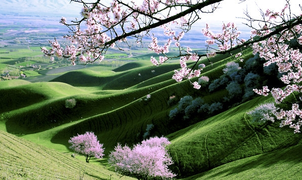 粉象生活推广引流软件