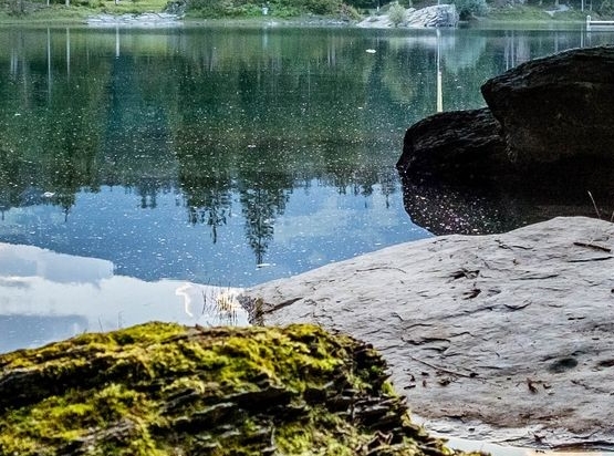 吉林加盟粉象生活