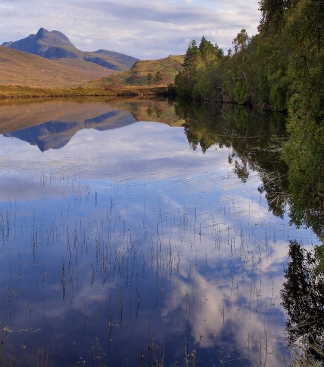 粉象生活怎么去推广