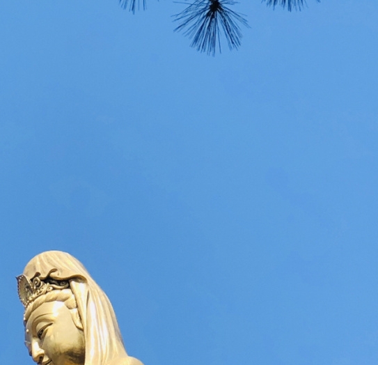 明星公益慈善排名