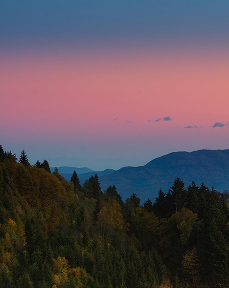 粉象生活粉丝怎么增加