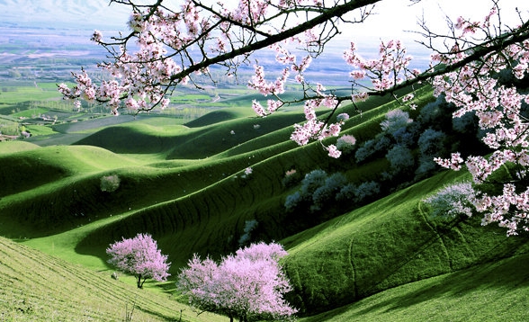 潮州粉象生活代理