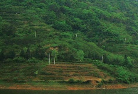 梅州粉象生活加盟