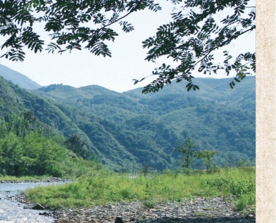 粉象生活怎么更改邀请码