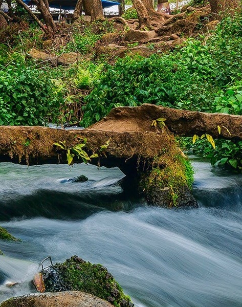 粉象生活邀请码