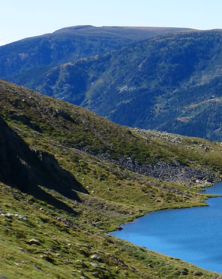 抖音如何涨粉快