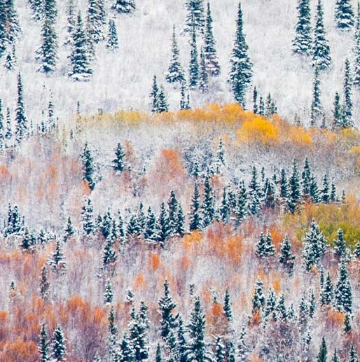 粉象生活分销佣金怎么提取