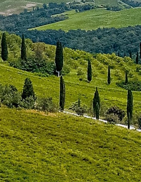 粉象生活怎么推广闲鱼