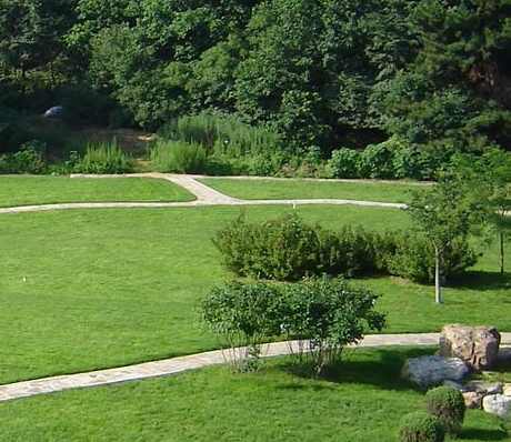 山东粉象生活app