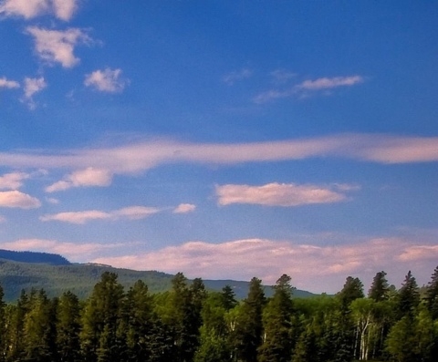 粉象生活咋样玩