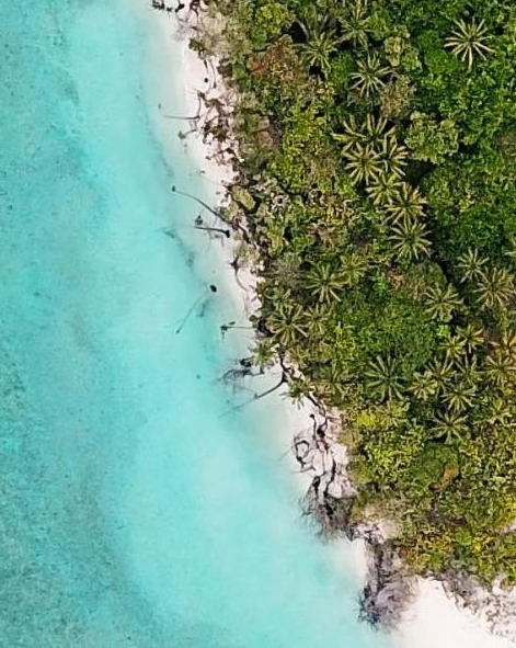 淘乐惠和粉象生活粉象生活