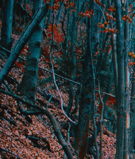 粉象生活是什么东西,真的靠谱吗