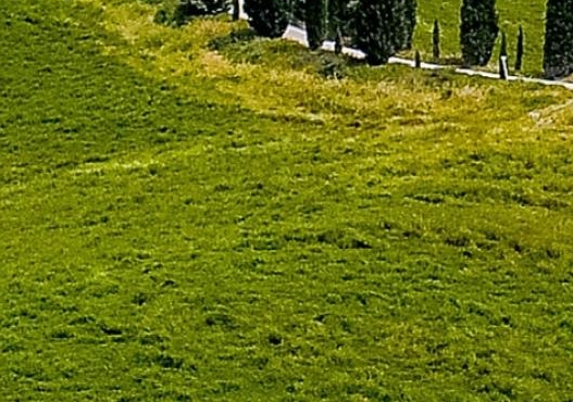 粉象生活怎么用小程序推广