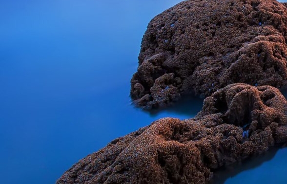 粉象生活和云集的区别