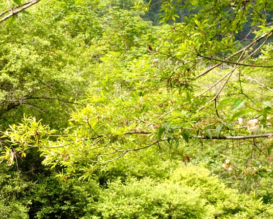 粉象生活总部电话多少