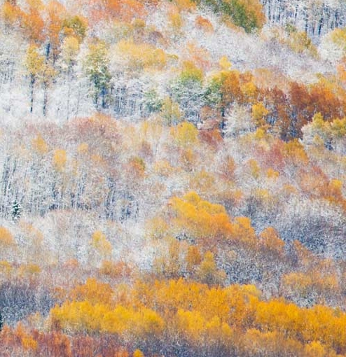 台州粉象生活邀请码