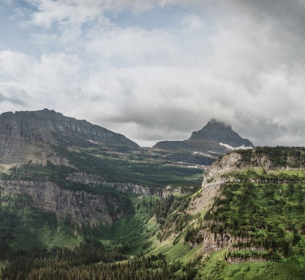 广东正规粉象生活靠谱么