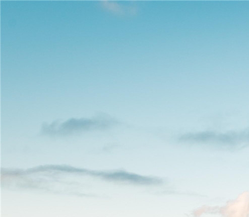 粉象生活还可以发展吗