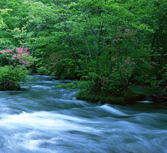 淘宝粉象生活官方邀请码
