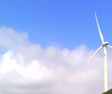 粉象生活怎么用淘宝