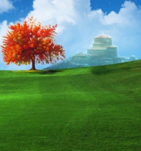 老刘的泰国生活在哪里直播