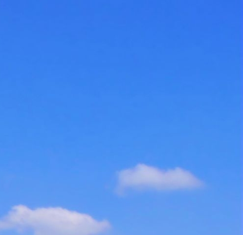 粉象生活可以赚钱吗