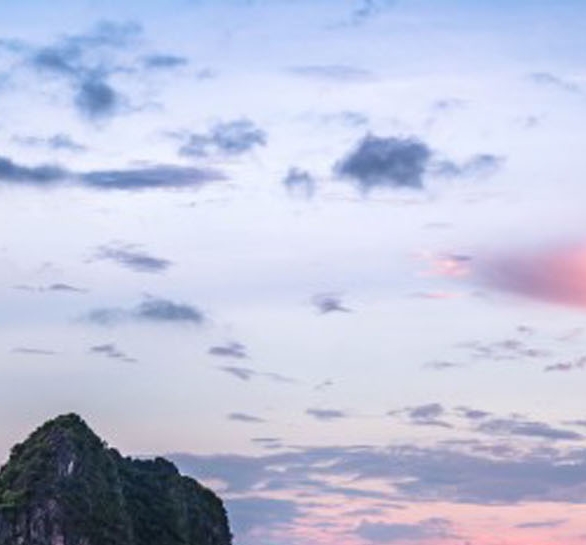 粉象生活红包0元购在哪里