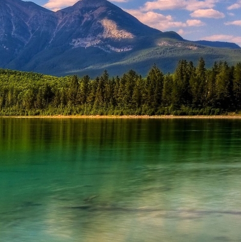 注册粉象生活有风险吗