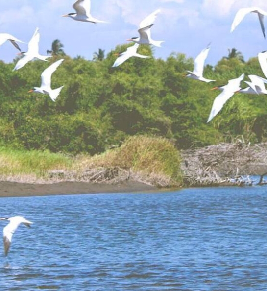 粉象生活能赚到钱吗