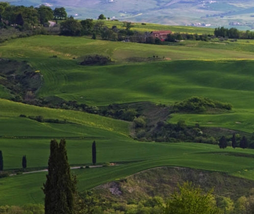 粉象生活阴影文字