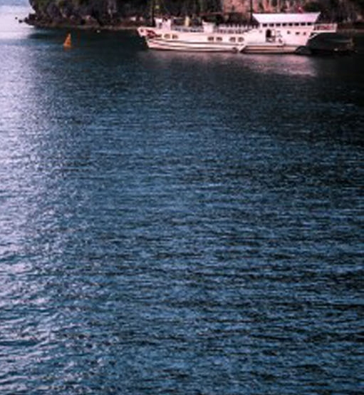 粉象生活的活动怎么参加