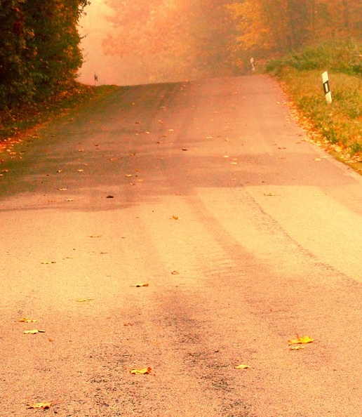 粉象生活卖东西收入