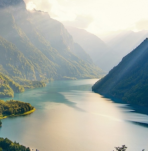 福建低聚肽粉代理