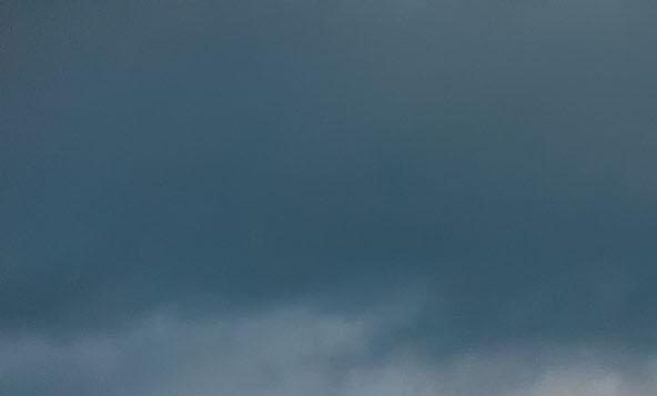 粉象生活骗局?揭密很多人被骗!说说他们的亲身经历!