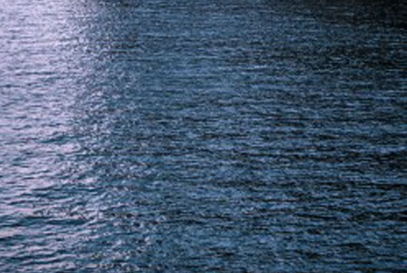 粉象生活东西是不是真的