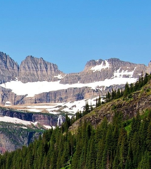 粉象生活账号怎么申请